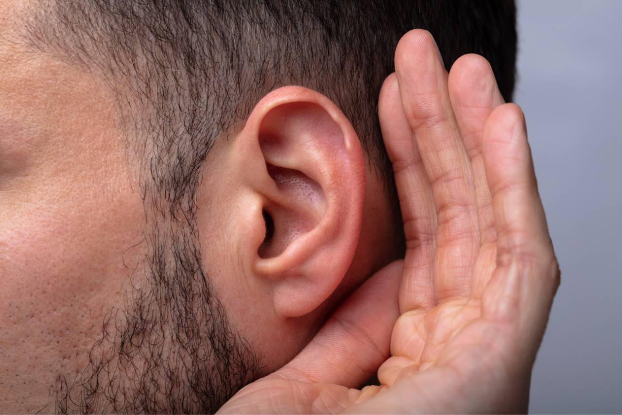 Franshoek Hearing - Services